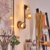 Chehalis Lampada a sfera, Applique Ambrato, Chiaro, 3-Luci
