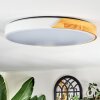 Cadaixo Plafoniera LED Écru, Bianco, 1-Luce, Telecomando