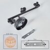 Chehalis Lampada a sfera, Applique Ambrato, 3-Luci