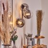 Chehalis Lampada a sfera, Applique 33 cm Cromo, Chiaro, Grigio fumo, 3-Luci