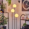 Gastor Lampada da terra 30 cm Legno chiaro, Nero, 3-Luci