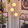 Gastor Lampada da terra 30 cm Legno chiaro, Nero, 3-Luci