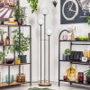 Gastor Lampada da terra 30 cm Legno chiaro, Nero, 3-Luci