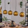 Koyoto Lampadario a sospensione, Lampada a sfera, Lampada a sospensione Oro, 4-Luci
