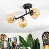 Chehalis Plafoniera, Lampada a sfera Ambrato, 3-Luci