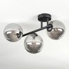 Chehalis Plafoniera, Lampada a sfera Grigio fumo, 3-Luci