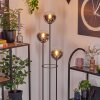 Gastor Lampada da terra 30 cm Legno chiaro, Nero, 3-Luci