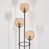 Kyoto Lampada da terra Legno chiaro, Nero, 3-Luci