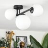 Chehalis Plafoniera, Lampada a sfera Bianco, 3-Luci