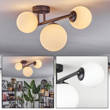 Chehalis Plafoniera, Lampada a sfera Bianco, 3-Luci