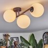Chehalis Plafoniera, Lampada a sfera Bianco, 3-Luci