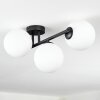 Chehalis Plafoniera, Lampada a sfera Bianco, 3-Luci