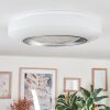 Dayen Plafoniera LED Argento, Bianco, 1-Luce, Telecomando
