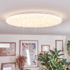 Junor Plafoniera LED Bianco, 1-Luce, Telecomando