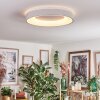 Joren Plafoniera, Panel LED Bianco, 1-Luce, Telecomando