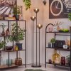 Gastor Lampada da terra 30 cm Nero, 3-Luci
