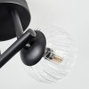 Chehalis Plafoniera, Lampada a sfera Chiaro, 3-Luci