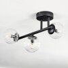 Chehalis Plafoniera, Lampada a sfera Chiaro, 3-Luci