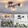 Chehalis Plafoniera, Lampada a sfera Chiaro, 3-Luci