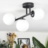 Chehalis Plafoniera, Lampada a sfera Bianco, 3-Luci