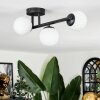 Chehalis Plafoniera, Lampada a sfera Bianco, 3-Luci