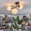 Chehalis Plafoniera, Lampada a sfera Bianco, 3-Luci