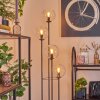 Gastor Lampada da terra 30 cm Legno scuro, Nero, 4-Luci