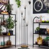 Gastor Lampada da terra 30 cm Legno scuro, Nero, 4-Luci