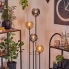 Koyoto Lampada da terra 30 cm Legno scuro, Nero, 4-Luci