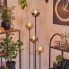Koyoto Lampada da terra 30 cm Legno scuro, Nero, 4-Luci