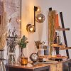 Chehalis Lampada a sfera, Applique Ambrato, Grigio fumo, 3-Luci