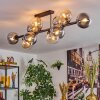 Gastor Plafoniera, Lampada a sfera Ambrato, Chiaro, Grigio fumo, 10-Luci