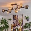Gastor Plafoniera, Lampada a sfera Ambrato, Chiaro, Grigio fumo, 10-Luci