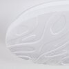 Deral Plafoniera LED Bianco, 1-Luce, Telecomando