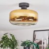 Boza Plafoniera Oro, Chiaro, 1-Luce
