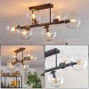 Gastor Plafoniera, Lampada a sfera Chiaro, 6-Luci