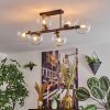 Gastor Plafoniera, Lampada a sfera Chiaro, 6-Luci