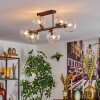 Gastor Plafoniera, Lampada a sfera Chiaro, 6-Luci