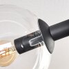 Gastor Plafoniera, Lampada a sfera Ambrato, Chiaro, Grigio fumo, 6-Luci