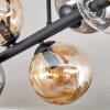 Gastor Plafoniera, Lampada a sfera Ambrato, Chiaro, Grigio fumo, 6-Luci