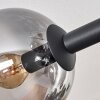 Gastor Plafoniera, Lampada a sfera Chiaro, Grigio fumo, 8-Luci