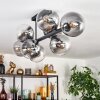 Gastor Plafoniera, Lampada a sfera Chiaro, Grigio fumo, 8-Luci