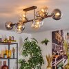 Gastor Plafoniera, Lampada a sfera Ambrato, Chiaro, Grigio fumo, 10-Luci