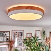 Hiral Plafoniera, Panel LED Écru, Bianco, 1-Luce