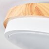 Hiral Plafoniera, Panel LED Écru, Bianco, 1-Luce