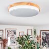 Hiral Plafoniera, Panel LED Écru, Bianco, 1-Luce