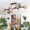Gastor Plafoniera, Lampada a sfera Ambrato, Chiaro, Grigio fumo, 8-Luci