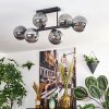 Gastor Plafoniera, Lampada a sfera Grigio fumo, 6-Luci
