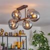 Gastor Plafoniera, Lampada a sfera Grigio fumo, 6-Luci