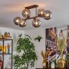 Gastor Plafoniera, Lampada a sfera Grigio fumo, 6-Luci